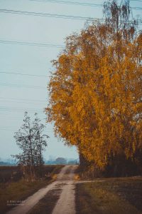 Herbst. Naturmotive von Iryna Mathes