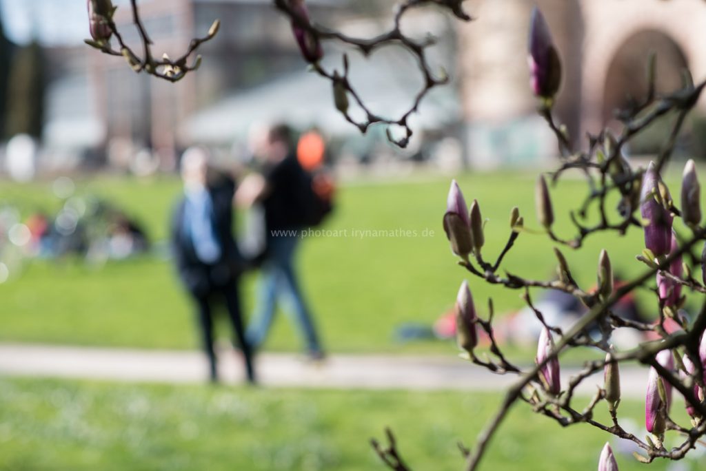 karlsruhe-frühling-7541-WEB