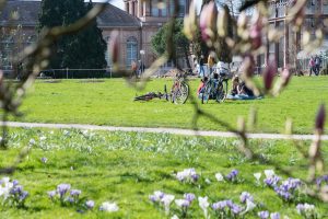 Frühling in Karlsruhe. Natur Fotografie