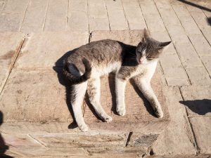 Isis Tempel, Ägypten. Reise Photography