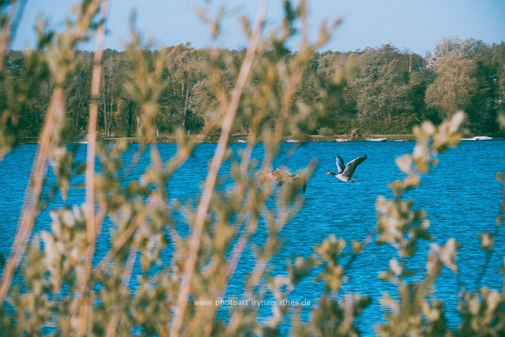 Landschaft-Natur-Dettenheim-web-4391-2