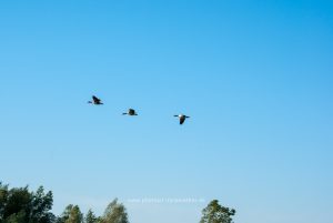 Am Baggersee. Naturfotografie Iryna Mathes