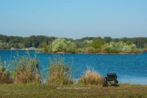 Am Baggersee. Naturfotografie Iryna Mathes