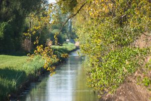 Am Baggersee. Naturfotografie Iryna Mathes