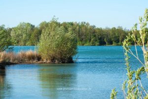 Am Baggersee. Naturfotografie Iryna Mathes