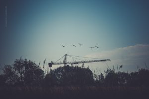 Abend. Naturfotografie Iryna Mathes