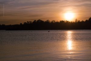 Sonnenuntergang am Baggersee. Naturfotografie Iryna Mathes