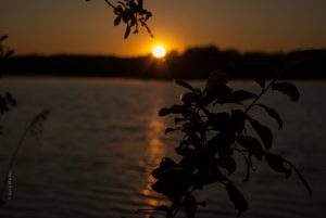 Sonnenuntergang am Baggersee. Naturfotografie Iryna Mathes