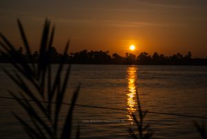 Landschaft am Nil, Ägypten. Reise Photography