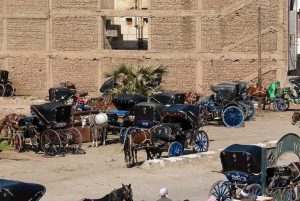 Kutsher aus Esna. Ägypten. Reise Photography