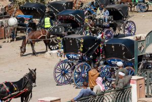 Kutsher aus Esna. Ägypten. Reise Photography