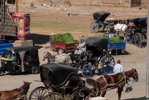 Kutsher aus Esna. Ägypten. Reise Photography