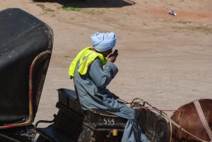 Kutsher aus Esna. Ägypten. Reise Photography