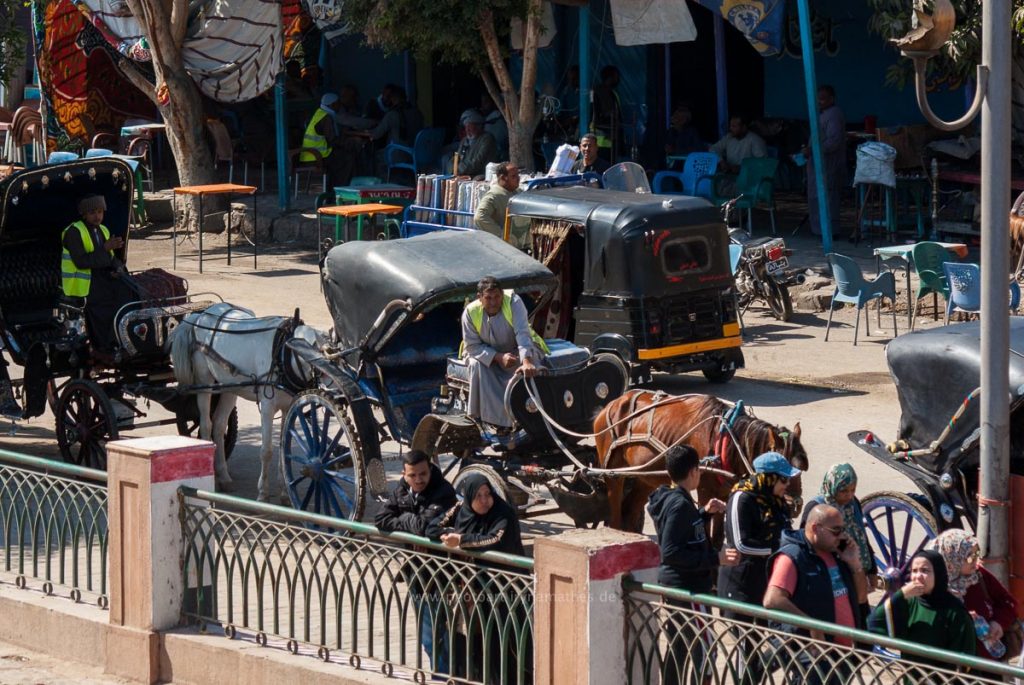 Egypt-Esna-web-4206