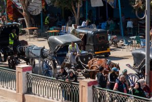 Kutsher aus Esna. Ägypten. Reise Photography