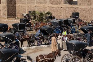 Kutsher aus Esna. Ägypten. Reise Photography