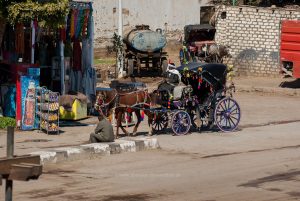 Kutsher aus Esna. Ägypten. Reise Photography