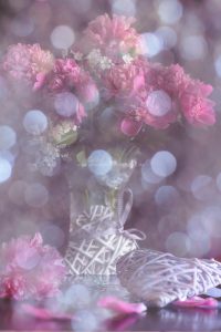 Pfingstrosen & Licht. Art work, photography