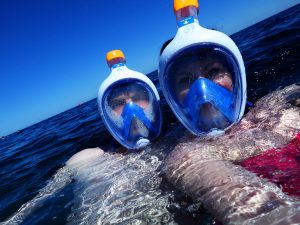 Rotes Meer, Urlaub