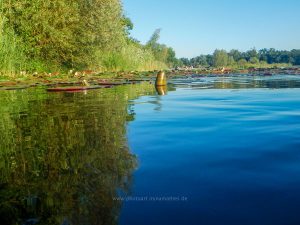 Sommer 2020, Baggersee. Mit Unterwasserkamera fotografieren