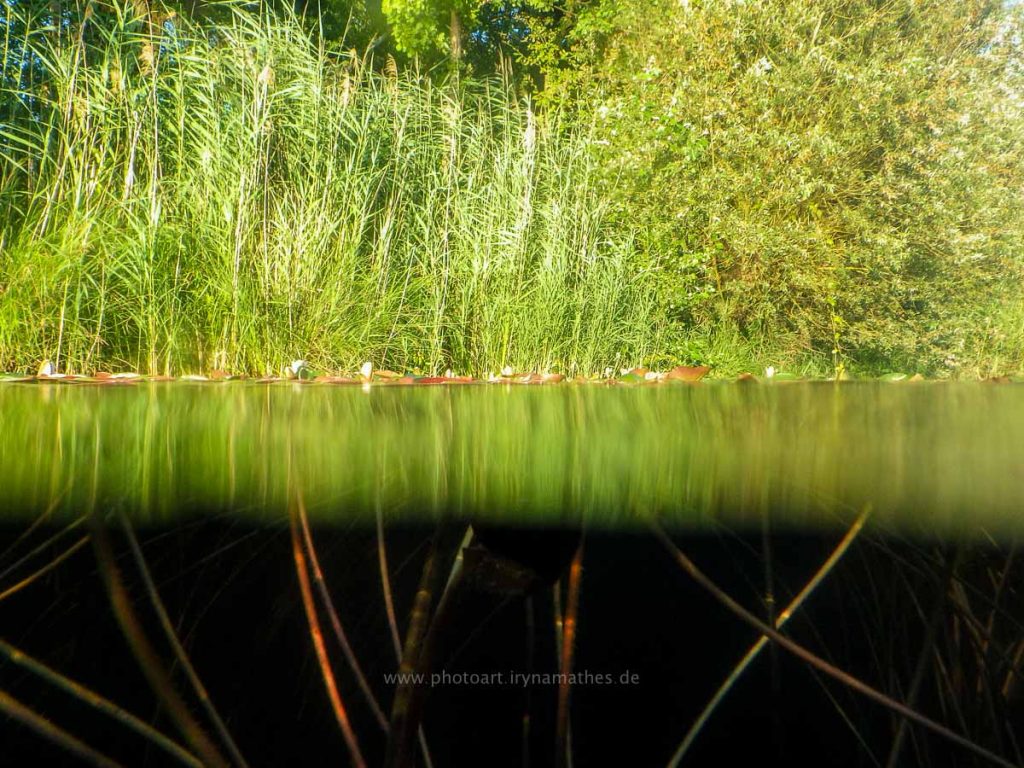 Baggersee-sommer-web-0579