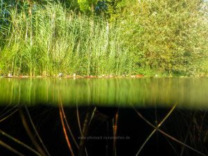 Sommer 2020, Baggersee. Mit Unterwasserkamera fotografieren