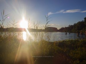Sommer 2020, Baggersee. Mit Handy und Unterwasserkamera fotografieren