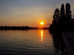 Sommer 2020, Baggersee. Mit Handy und Unterwasserkamera fotografieren