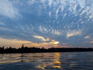 Sommer 2020, Baggersee. Mit Handy und Unterwasserkamera fotografieren