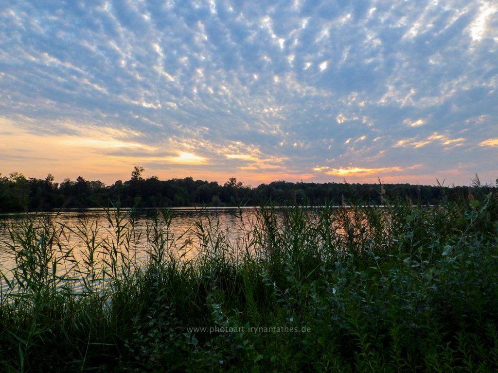 Baggersee-sommer-web-0660