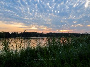 Sommer 2020, Baggersee. Mit Handy und Unterwasserkamera fotografieren
