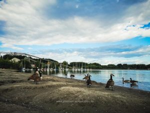 Sommer 2020, Baggersee. Mit Handy fotografieren