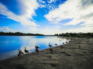 Sommer 2020, Baggersee. Mit Handy fotografieren