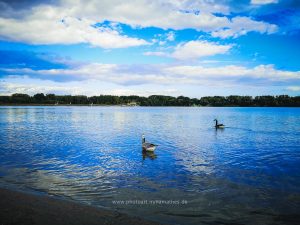 Sommer 2020, Baggersee. Mit Handy oder Unterwasserkamera fotografieren