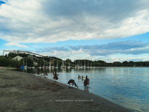 Sommer 2020, Baggersee. Mit Handy fotografieren