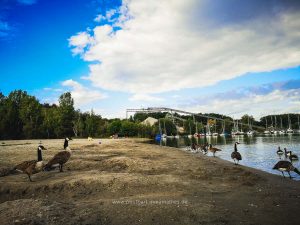 Sommer 2020, Baggersee. Mit Handy fotografieren