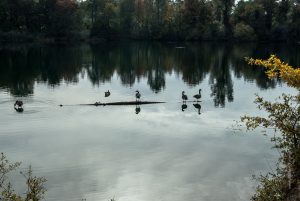 Baggersee Linkenheim an einem Herbsttag. Deutschland, Europa Landschaft