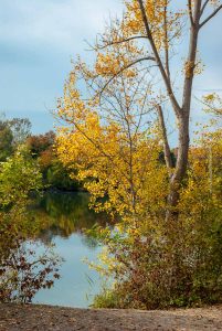 Baggersee Linkenheim an einem Herbsttag. Deutschland, Europa Landschaft