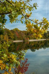 Baggersee Linkenheim an einem Herbsttag. Deutschland, Europa Landschaft