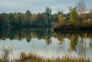Baggersee Linkenheim an einem Herbsttag. Deutschland, Europa Landschaft