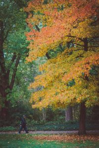 Im Schlossgarten Karlsruhe an einem Herbsttag
