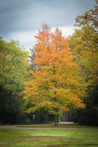 Im Schlossgarten Karlsruhe an einem Herbsttag