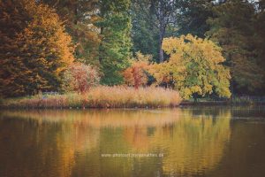Im Schlossgarten Karlsruhe an einem Herbsttag