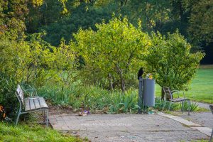 Im Schlossgarten Karlsruhe an einem Herbsttag