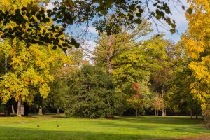 Im Schlossgarten Karlsruhe an einem Herbsttag