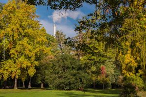 Im Schlossgarten Karlsruhe an einem Herbsttag