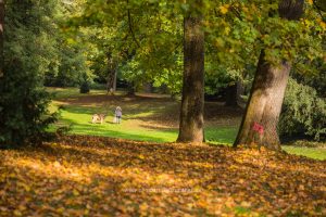 Im Schlossgarten Karlsruhe an einem Herbsttag