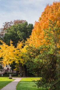 Im Schlossgarten Karlsruhe an einem Herbsttag