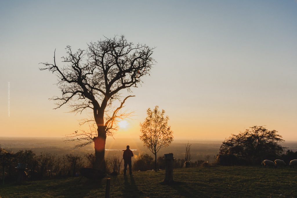 Michaelsberg-Herbst-Abend-web-5390-2