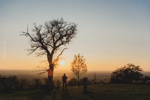 Dämmerung am Michaelsberg, Untergrombach-Bruchsal. Deutschland, Europa. Landschaftsfotografie